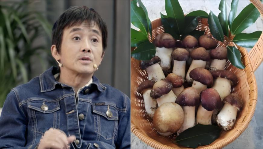 新澳门开奖结果2025开奖记录下载,搞笑还得是东北人,完美答案解释落实_体验版V11.62