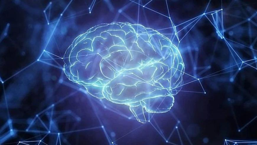 杨蓉一人怼大侦探全员,澳门一肖一码一码,经济性执行方案剖析_手游版V4.85