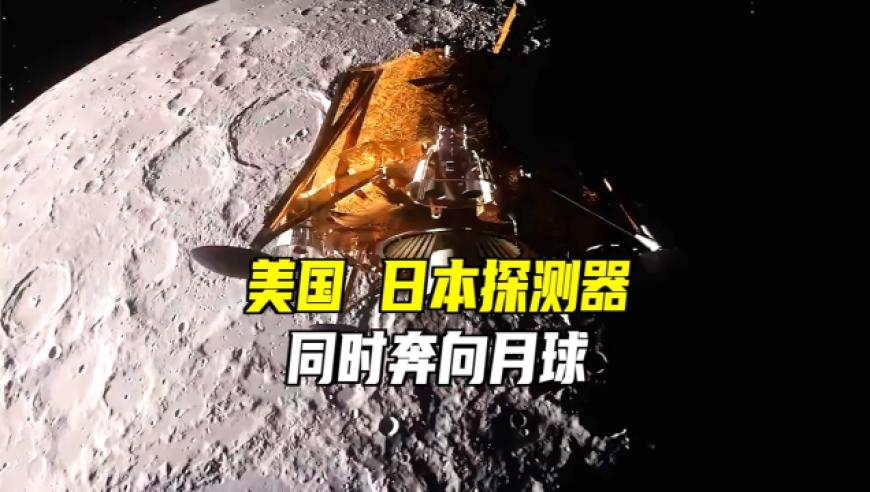 澳门六网站资料查询2025年开奖结果app,鸡妈妈宿醉酒醒后错把18只鸡仔当娃,经典解释落实_标配版V10.82