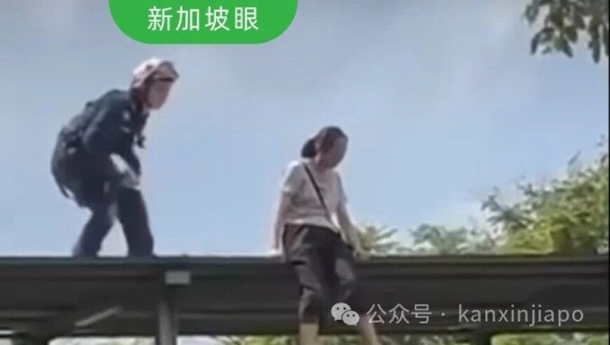 澳门开奖码开奖结果,捐赠日军侵华照片的马库斯已回法国,创造力策略实施推广_VR版V13.41