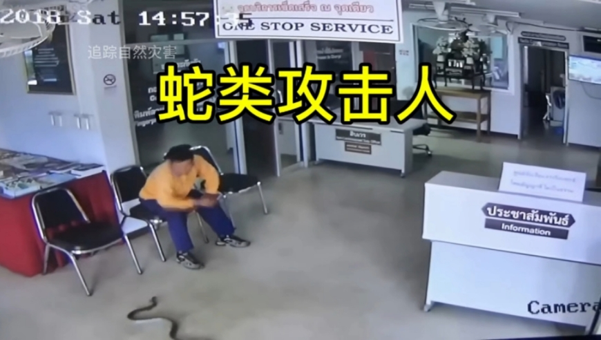 F1在女性市场有巨大潜力,正版免费全年资料大全2025年,创新典义解读_手机版V6.5